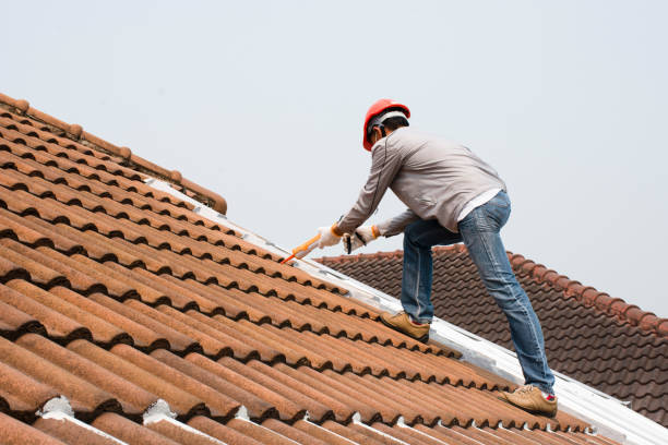 Best Cold Roofs  in Buckhannon, WV